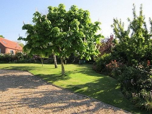Pantiles B&B Cromer Eksteriør billede